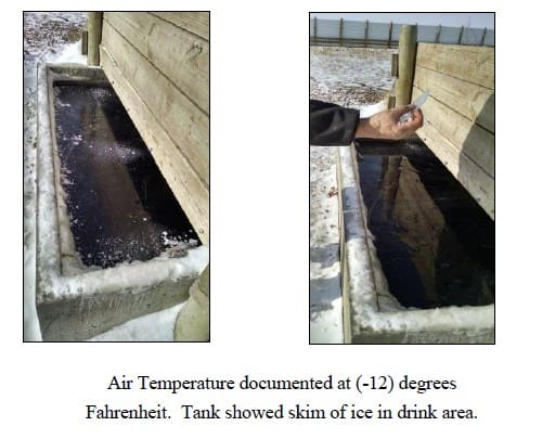 winter tank with water